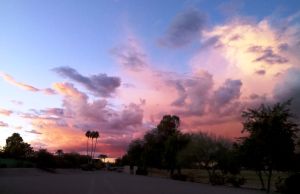 Tears and fears and feeling proud, To say "I love you" right out loud Dreams and schemes and circus crowds, I've looked at life that way.