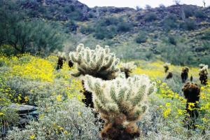 They're pretty backlit like that, but don't touch!