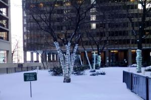 I did not walk on the grass.  Honest.