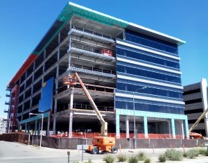 Starting to Look Like Something!