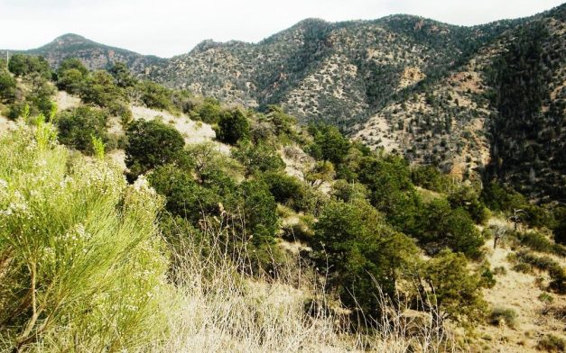 Pic 19 5 Min Past Morenci Mine